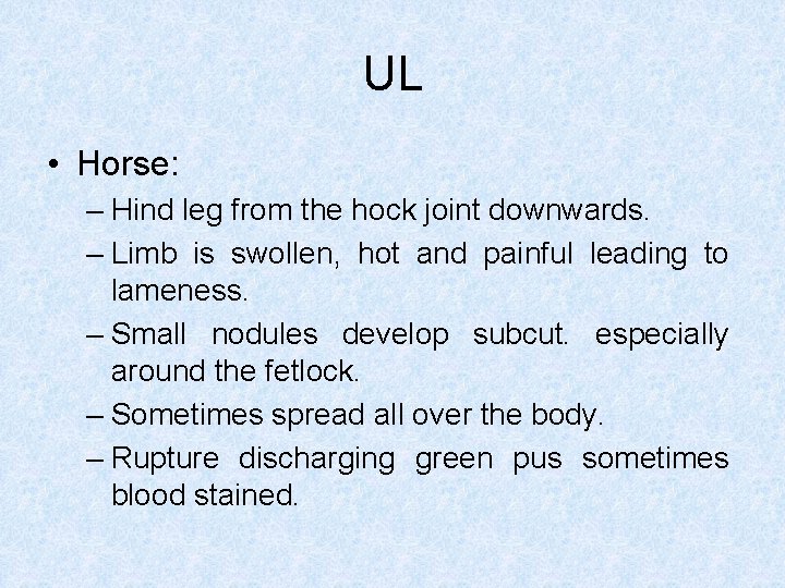 UL • Horse: – Hind leg from the hock joint downwards. – Limb is
