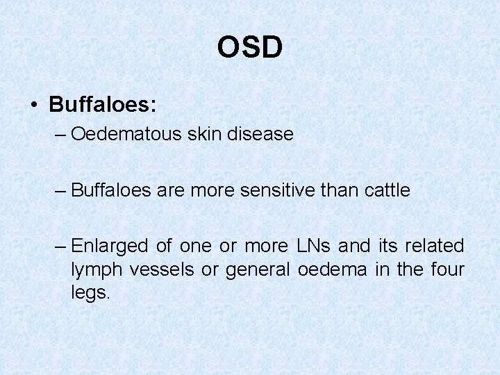 OSD • Buffaloes: – Oedematous skin disease – Buffaloes are more sensitive than cattle