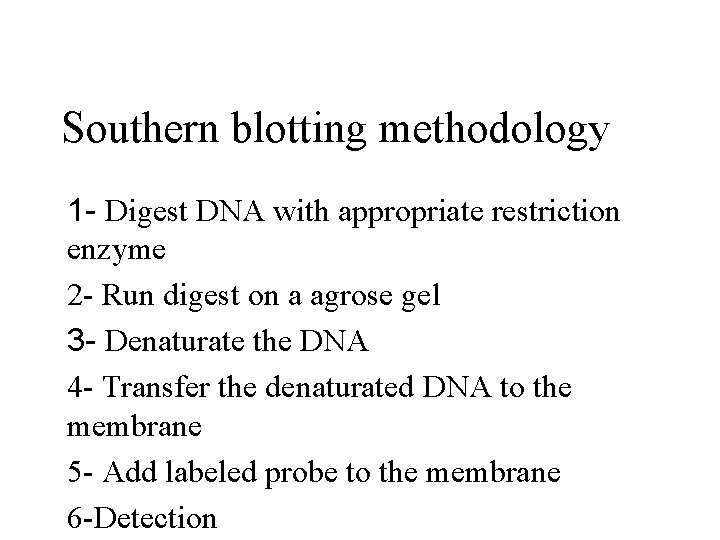 Southern blotting methodology 1 - Digest DNA with appropriate restriction enzyme 2 - Run