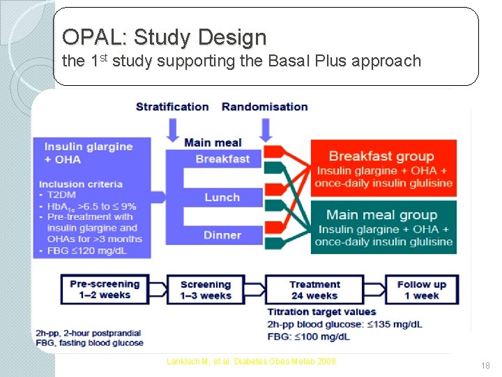 OPAL: Study Design the 1 st study supporting the Basal Plus approach Lankisch M,