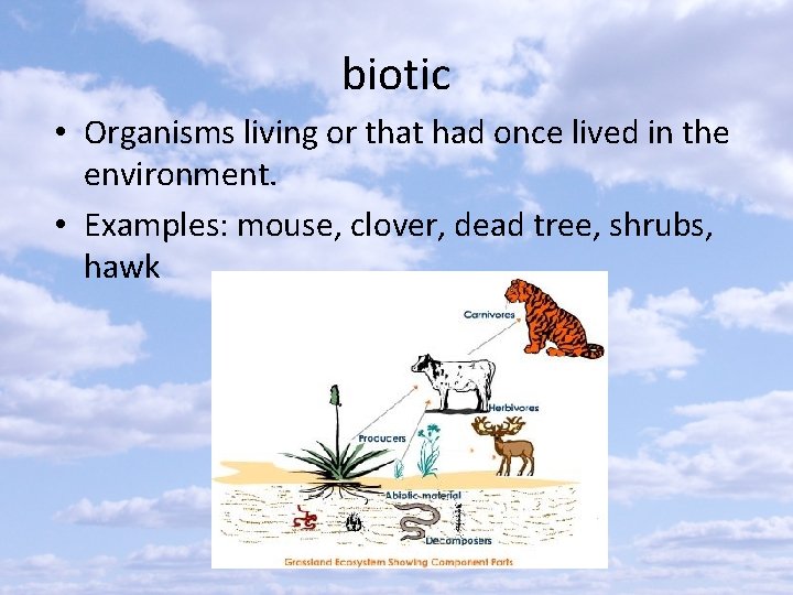 biotic • Organisms living or that had once lived in the environment. • Examples: