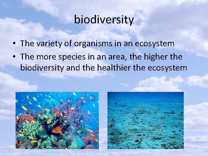 biodiversity • The variety of organisms in an ecosystem • The more species in