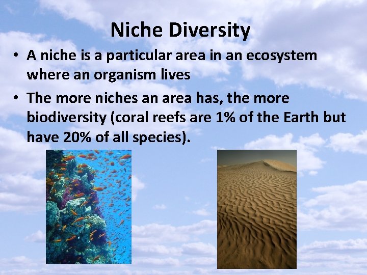 Niche Diversity • A niche is a particular area in an ecosystem where an