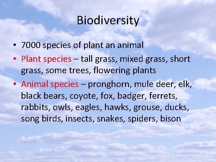 Biodiversity • 7000 species of plant an animal • Plant species – tall grass,