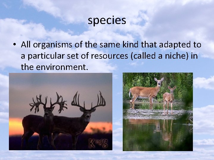 species • All organisms of the same kind that adapted to a particular set