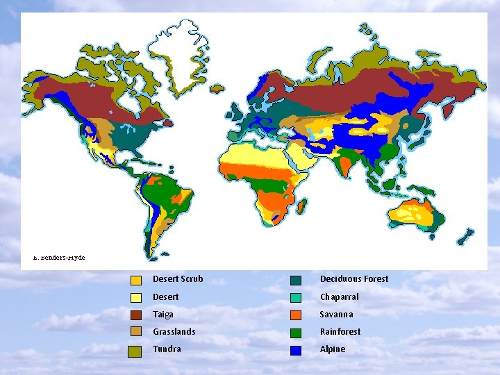 Desert Scrub Deciduous Forest Desert Chaparral Taiga Savanna Grasslands Rainforest Tundra Alpine 