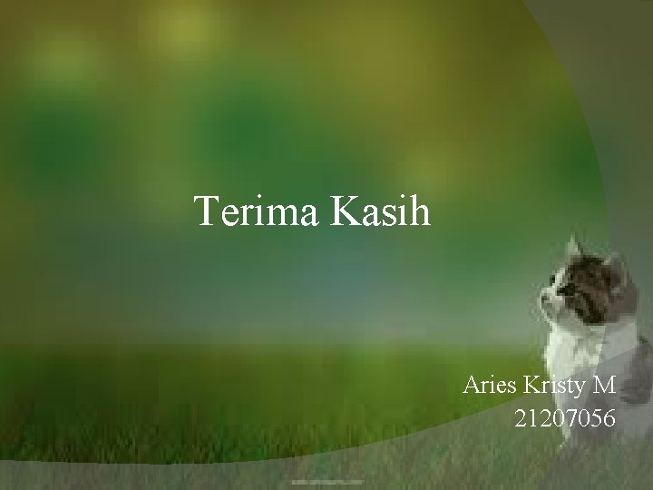 Terima Kasih Aries Kristy M 21207056 