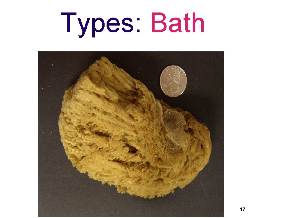 Types: Bath 17 