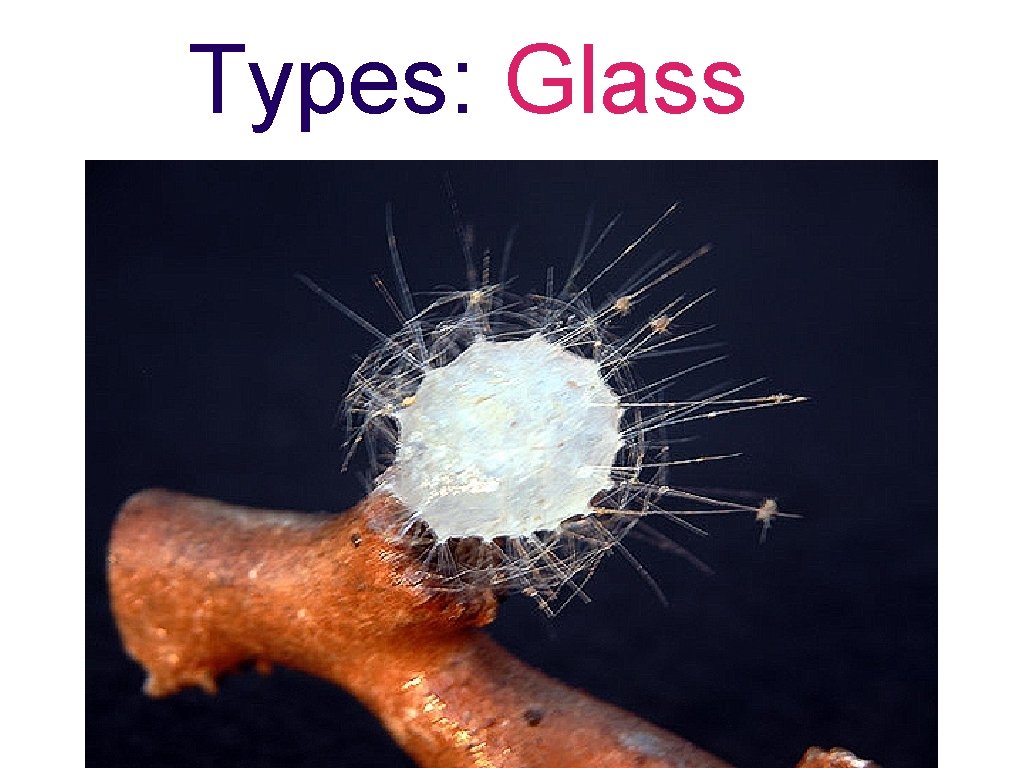 Types: Glass 18 