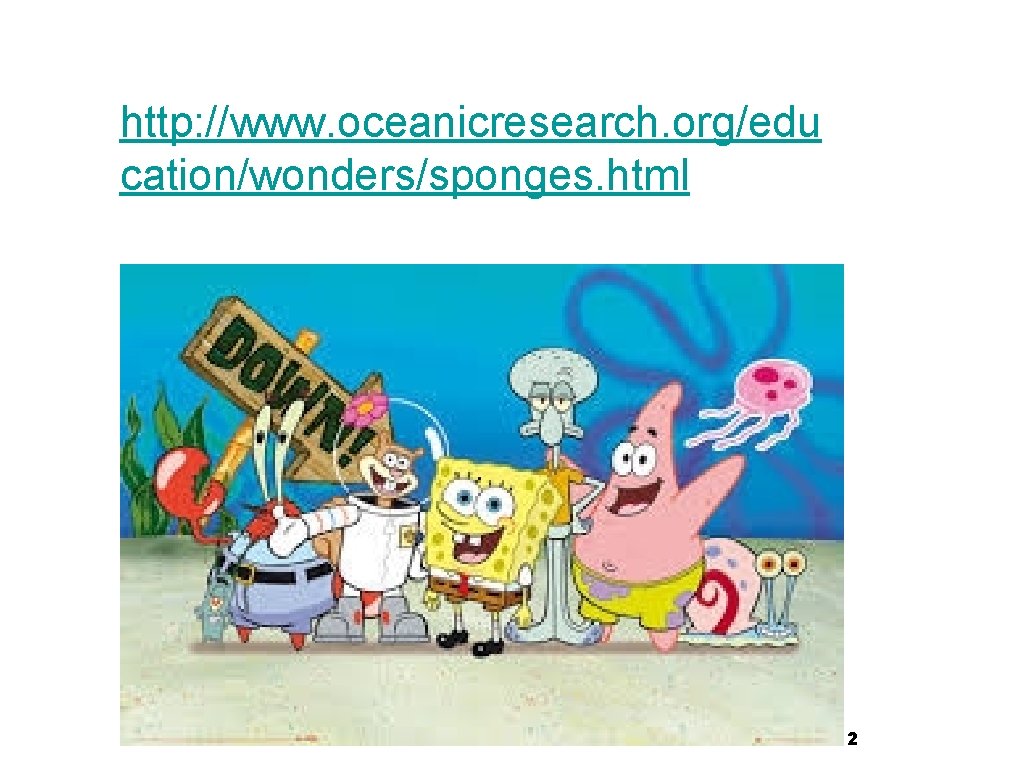 http: //www. oceanicresearch. org/edu cation/wonders/sponges. html 2 