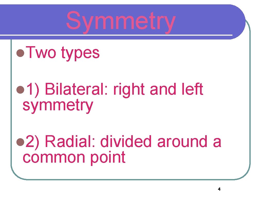 Symmetry l. Two types l 1) Bilateral: right and left symmetry l 2) Radial: