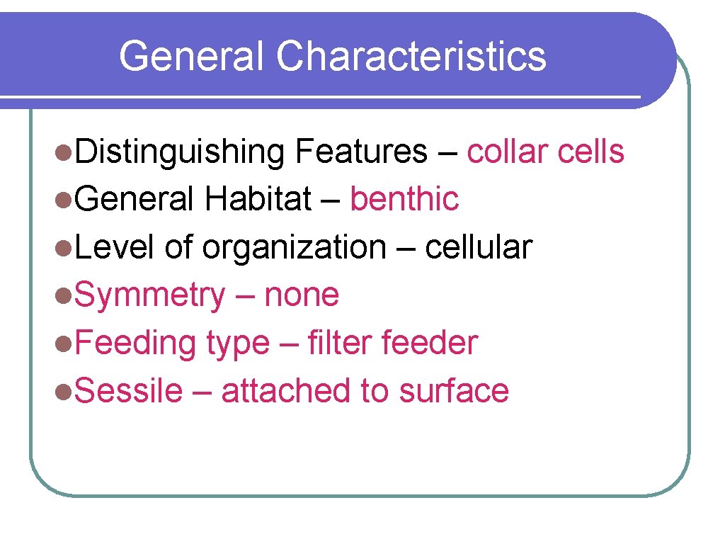 General Characteristics l. Distinguishing Features – collar cells l. General Habitat – benthic l.