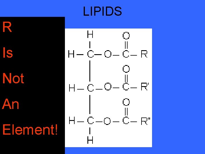 LIPIDS R Is Not An Element! LIPIDS R Is Not An Element!