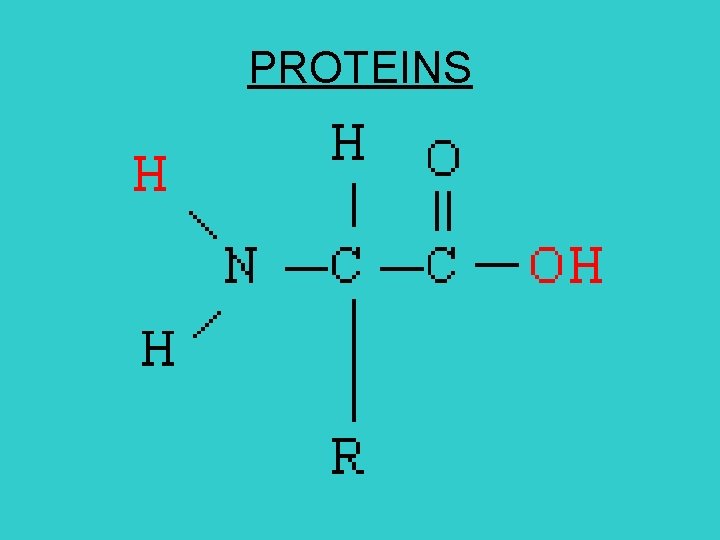 PROTEINS PROTEINS