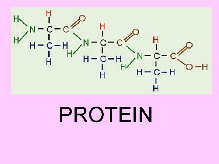 PROTEIN PROTEIN