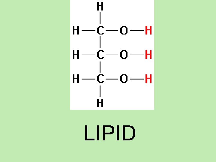 LIPID LIPID