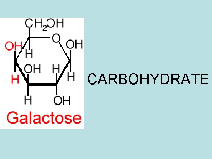 CARBOHYDRATE CARBOHYDRATE