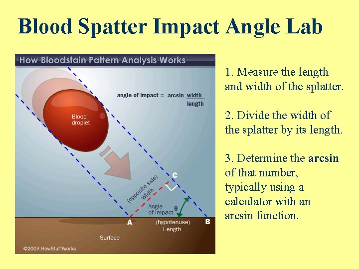 Blood Spatter Impact Angle Lab 1. Measure the length and width of the splatter.