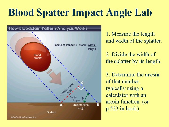 Blood Spatter Impact Angle Lab 1. Measure the length and width of the splatter.