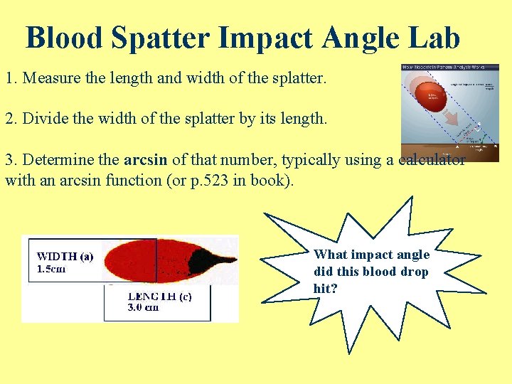 Blood Spatter Impact Angle Lab 1. Measure the length and width of the splatter.