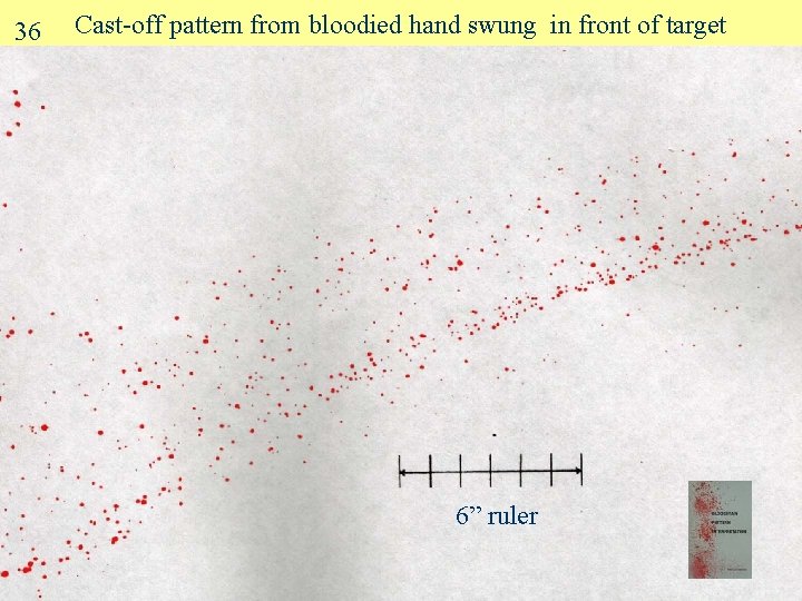 36 Cast-off pattern from bloodied hand swung in front of target 6” ruler 