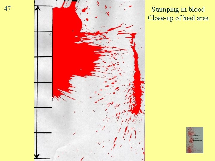 47 Stamping in blood Close-up of heel area 