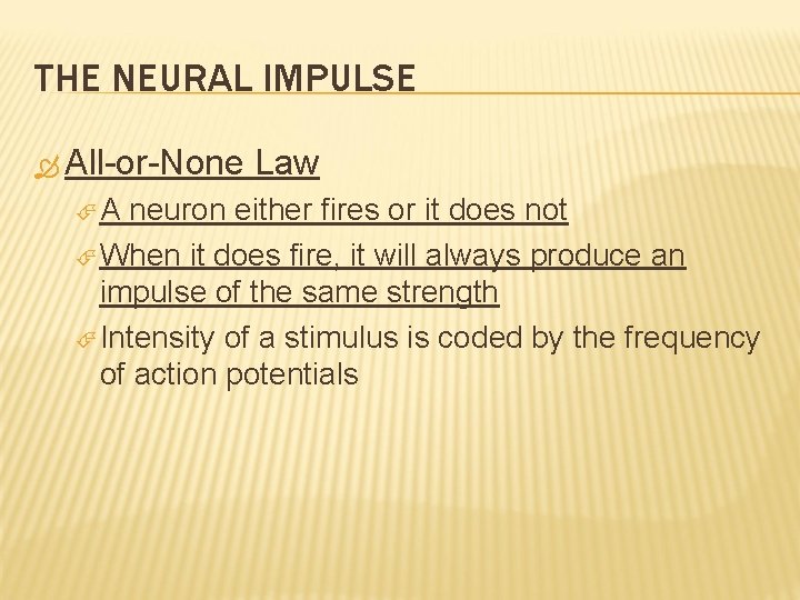 THE NEURAL IMPULSE All-or-None A Law neuron either fires or it does not When