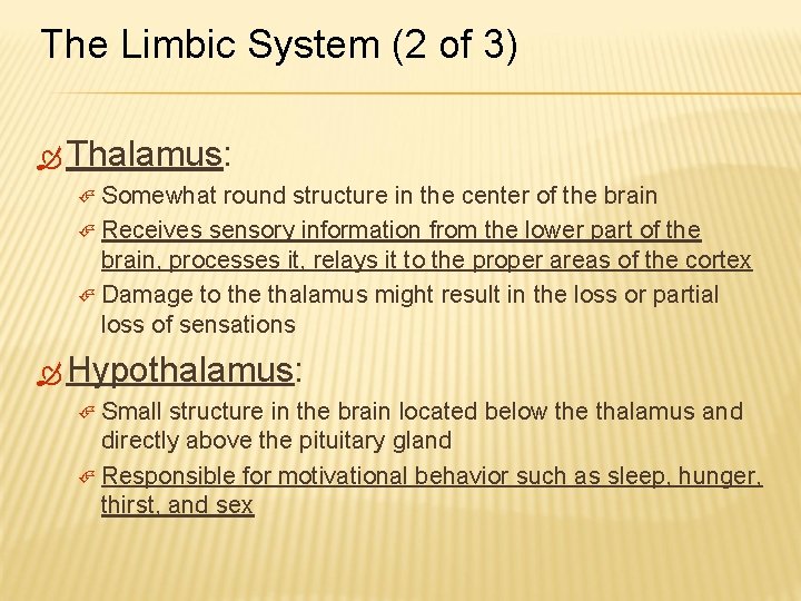 The Limbic System (2 of 3) Thalamus: Somewhat round structure in the center of