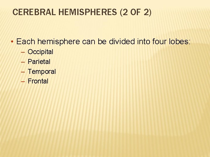 CEREBRAL HEMISPHERES (2 OF 2) • Each hemisphere can be divided into four lobes: