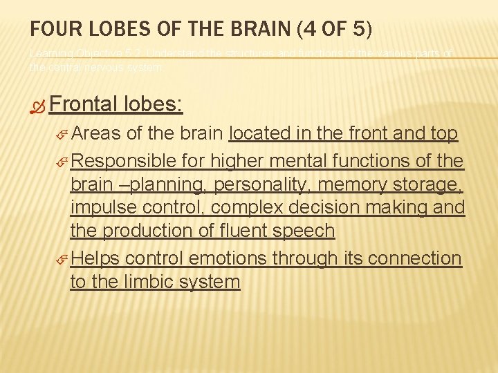 FOUR LOBES OF THE BRAIN (4 OF 5) Learning Objective 5. 2: Understand the