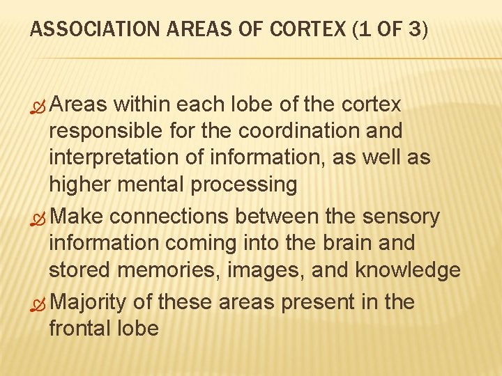 ASSOCIATION AREAS OF CORTEX (1 OF 3) Areas within each lobe of the cortex