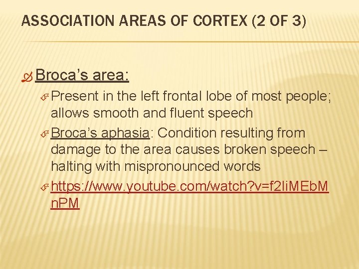 ASSOCIATION AREAS OF CORTEX (2 OF 3) Broca’s area: Present in the left frontal