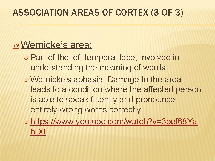 ASSOCIATION AREAS OF CORTEX (3 OF 3) Wernicke’s Part area: of the left temporal