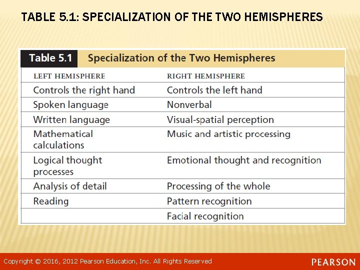 TABLE 5. 1: SPECIALIZATION OF THE TWO HEMISPHERES Copyright © 2016, 2012 Pearson Education,