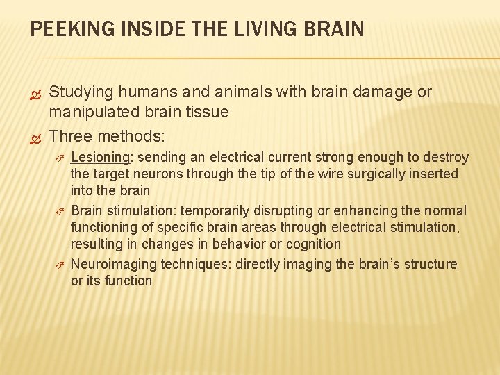 PEEKING INSIDE THE LIVING BRAIN Studying humans and animals with brain damage or manipulated
