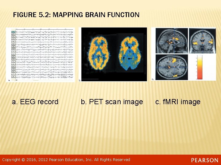 FIGURE 5. 2: MAPPING BRAIN FUNCTION a. EEG record b. PET scan image Copyright