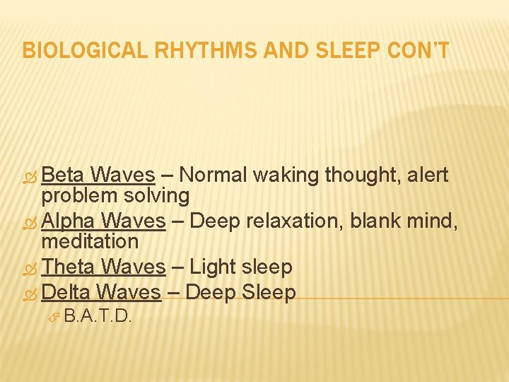 BIOLOGICAL RHYTHMS AND SLEEP CON’T Beta Waves – Normal waking thought, alert problem solving