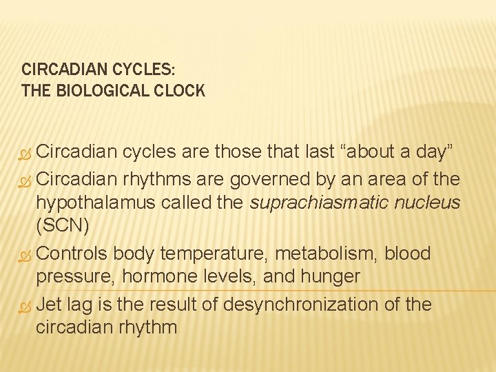 CIRCADIAN CYCLES: THE BIOLOGICAL CLOCK Circadian cycles are those that last “about a day”