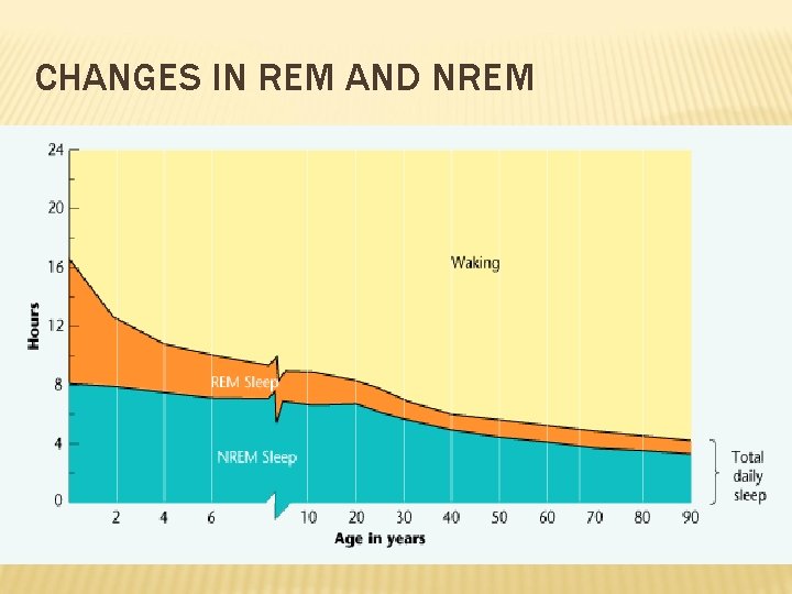 CHANGES IN REM AND NREM 