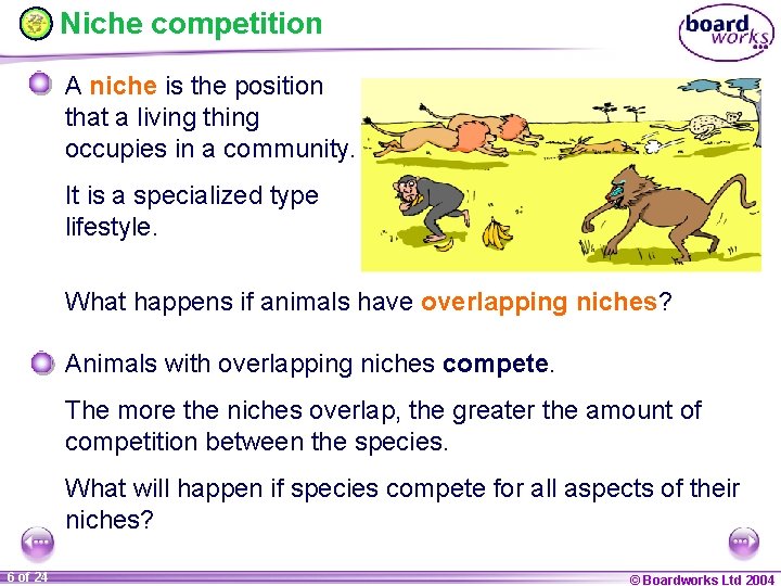 Niche competition A niche is the position that a living thing occupies in a