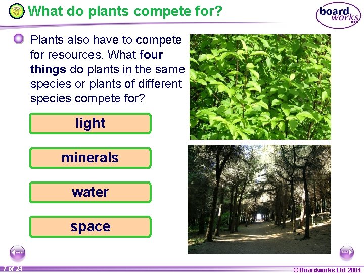 What do plants compete for? Plants also have to compete for resources. What four