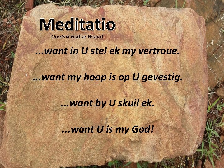 Meditatio Oordink God se Woord . . . want in U stel ek my