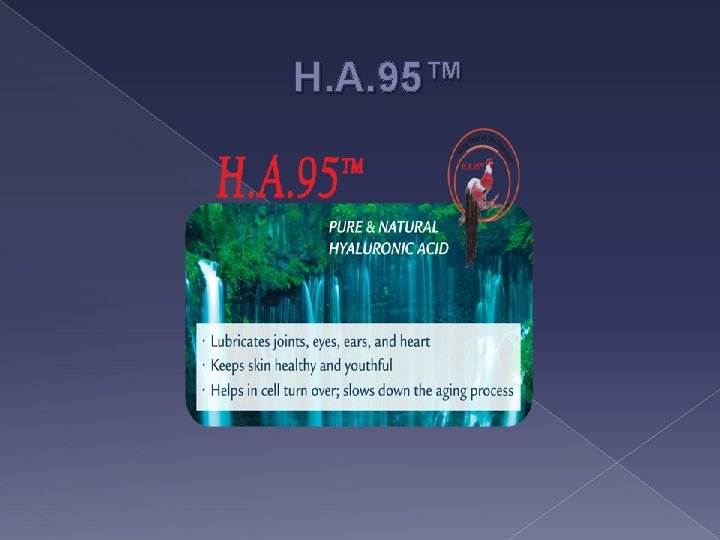 H. A. 95™ 