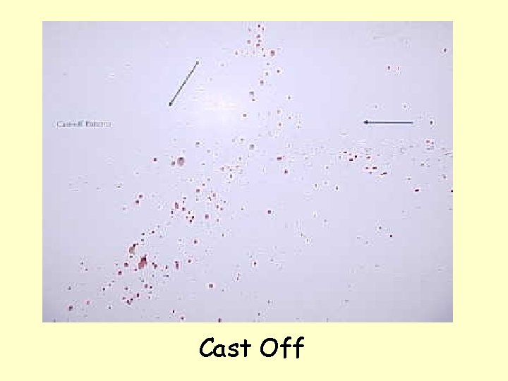 Cast Off 
