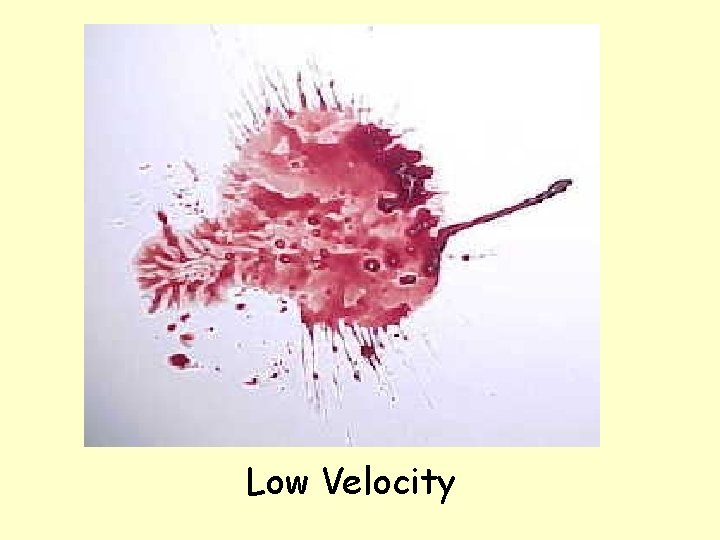 Low Velocity 