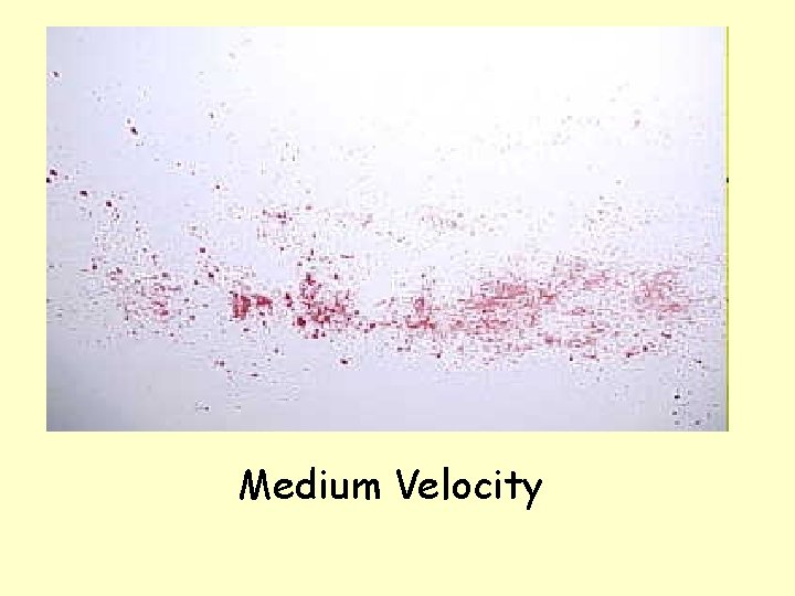 Medium Velocity 