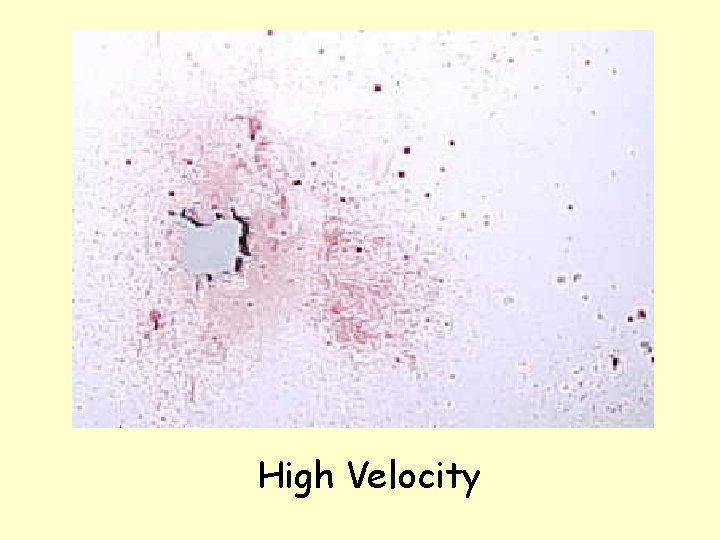 High Velocity 