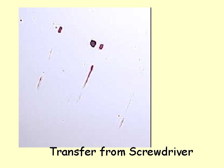 Transfer from Screwdriver 