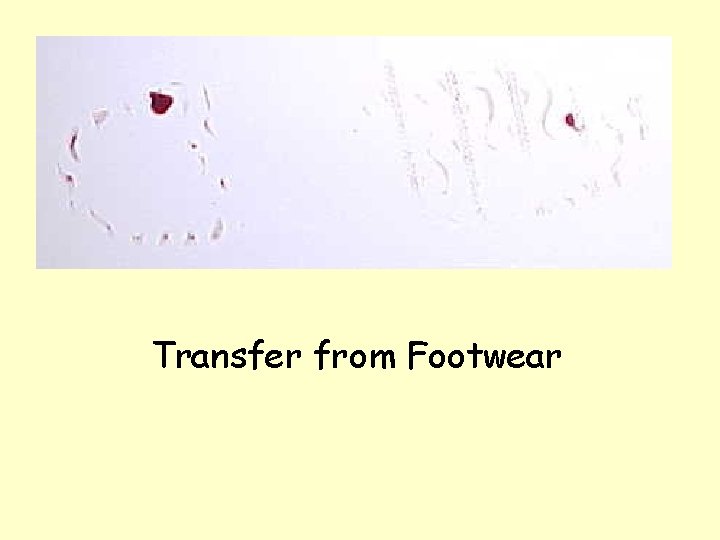 Transfer from Footwear 