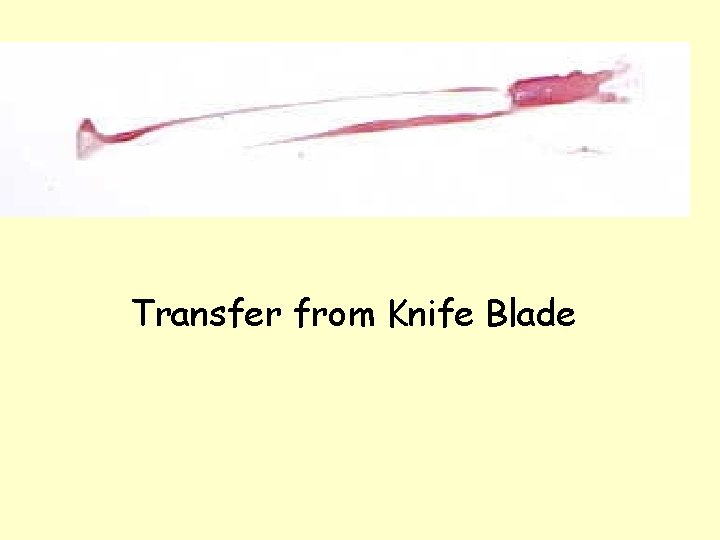 Transfer from Knife Blade 